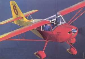 KITFOX1.jpg (6449 byte)